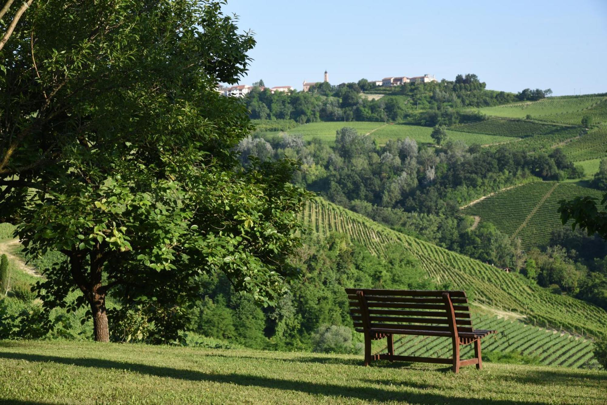 Villa San Domenico A ברברסקו מראה חיצוני תמונה